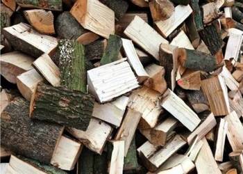 Drewno Kominkowe I Gałęziówka Buk Dąb Grab Brzoza Sosna Jesion SEZONOWANE