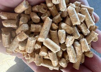 Pellet sosnowy. Dostawa w cenie