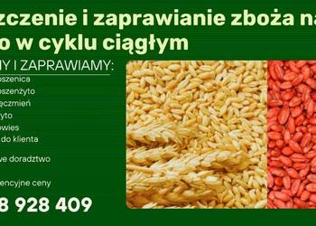 Czyszczenie i zaprawianie zboża w cyklu ciągłym z dojazdem do klienta