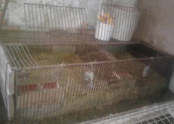 Sprzedam klatki metalowe