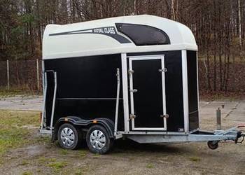 Przyczepa do przewozu koni zwierząt Atec wynajem