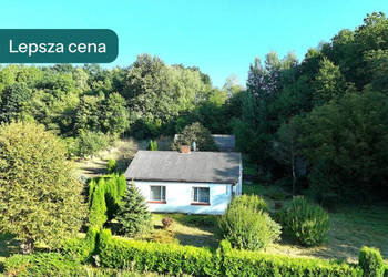 Siedlisko przy lesie w Skomorochach Dużych