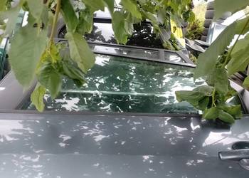 Drzwi lewe tylne Peugeot 407sw ezwd