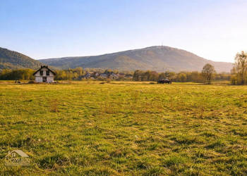 Grunt Radziechowy 703m2