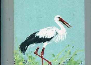 Kajtkowe przygody - Maria Kownacka