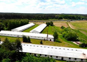 Sprzedam 4 hale 5200m2 blisko S-3