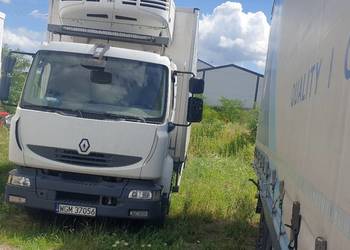 Renault Midlum Chłodnia 21 pal