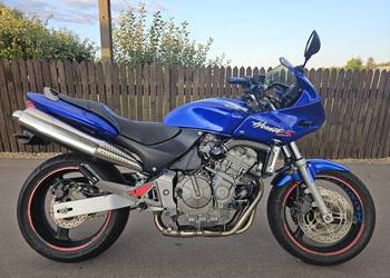 Honda Hornet
