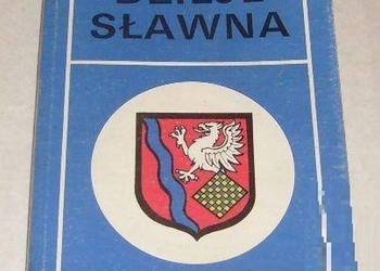 Dzieje Sławna - Lindmajer Józef