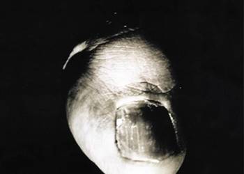 HISTORIE OKA - SWOBODA TOMASZ HISTORIE OKA - SWOBODA TOMASZ