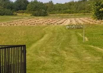 Sprzedam siano i słomę w kostkach. Sprzedam siano i słomę w kostkach.