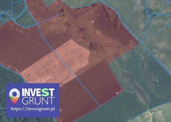 [65,38 ha] przetarg na dzierżawę gruntów rolnych