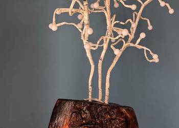 ręcznie wykonana lampa z naturalnego drewna - opalana - Led - drzewko
