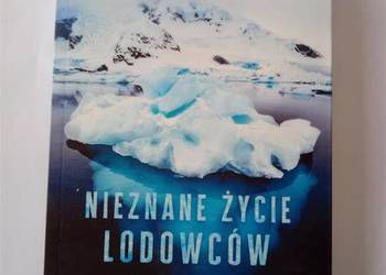 Nieznane życie lodowców Vassnes Bjørn Roar