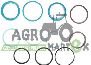 F737300050010, 737300050010 ZESTAW USZCZELEK SIŁOWNIKA AMORTYZACJI OSI AGCO