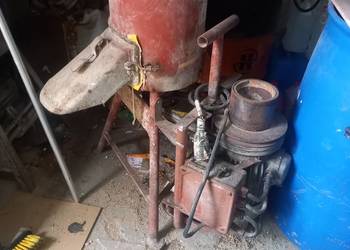 śrótownik bąk śrótownik bąk