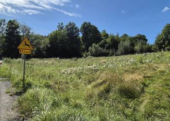 Działka 1885 m² przy drodze – uzgodniony zjazd z drogi pow.– Wojcieszów