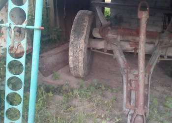 wòz konny