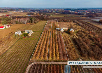 Działka 21802m2 Michrów