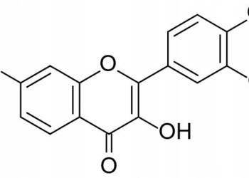 Fisetyna Czysta Proszek Fisetin Flavonoid 10g >99%