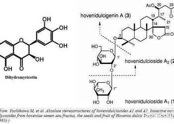 Dihydromyricetin Koncentrat 5:1