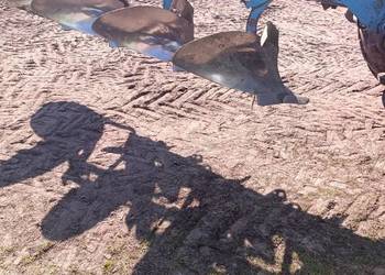 Pług overum 4 skibowy 16cali