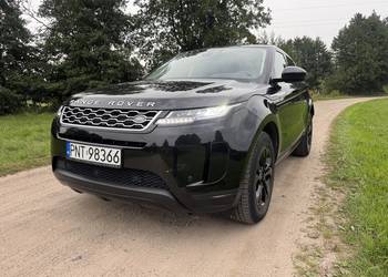 Salon Polska, pierwszy właściciel, stan idealny