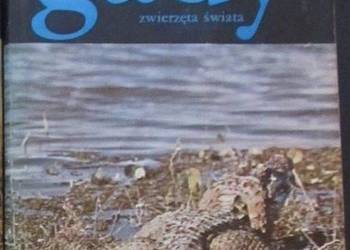 GADY ZWIERZĘTA ŚWIATA