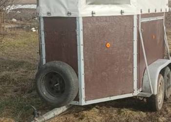 Przyczepka do przewozu koni 2