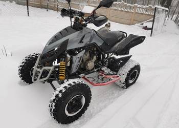 Quad Dinli 450