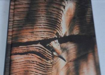 UMIEJETNOŚCI ŻYCIA - GADACZ TADEUSZ UMIEJETNOŚCI ŻYCIA - GADACZ TADEUSZ