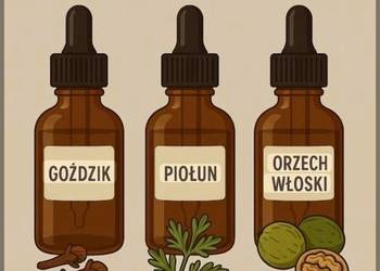 Koncentrat z orzechów, piołunu I goździków 100ml