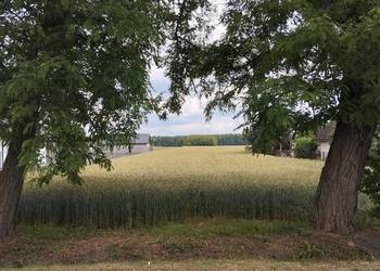 Działka INWESTYCYJNA rolno budowlana PIOTRKÓW TRYBUNALSKI