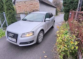 Audi a3 8p HAK opłaty na rok