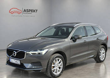 Volvo XC 60 D3 Momentum / Serwisowany w ASO II (2017-)