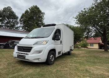 Fiat Ducato 2.3  chłodnia 2017