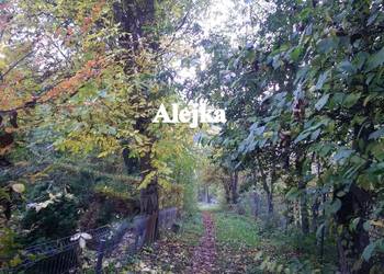 Działka ROD Bratek Dąbrowica 380m2 Ogródek Lublin