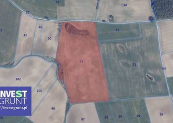 [4,70 ha] przetarg na dzierżawę gruntów rolnych