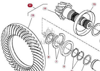 Massey Ferguson 8470 8480 Koło Koronowe Atak Zębatka CZĘŚCI 926102410040 9…