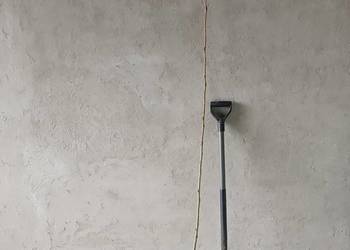 Topola szybkorosnąca-sadzonka