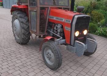 Sprzedam Massey Ferguson z1987r oryginał