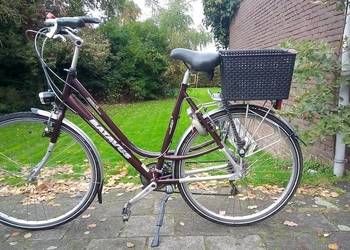 Rower Trekking / Miejski Batavus  BXXS Jakima Alu 7005, 28" 51cm rama