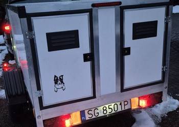 Przyczepka do przewozu psów