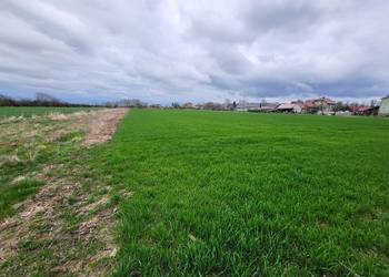 Sprzedam działki budowlane w Głogówku. Uzbrojone.