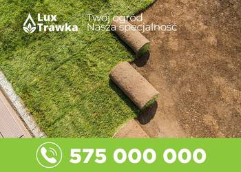 Trawa z rolki | Sezonowana 12-18 miesięcy