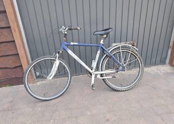 Rower gazelle gazela