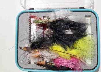 Przynęty wędkarskie: Muchy 30 sztuk + pudełko