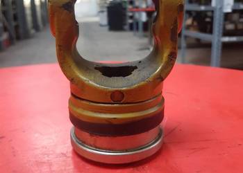 Widłak przegubu szerokokątnego