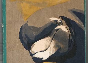 SEKRETY DELFINÓW - WERNEROWA JADWIGA SEKRETY DELFINÓW - WERNEROWA JADWIGA