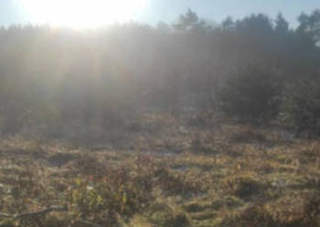 JUSZOWICE gmina Rudna KLIMATYCZNA DZIAŁKA z MPZP